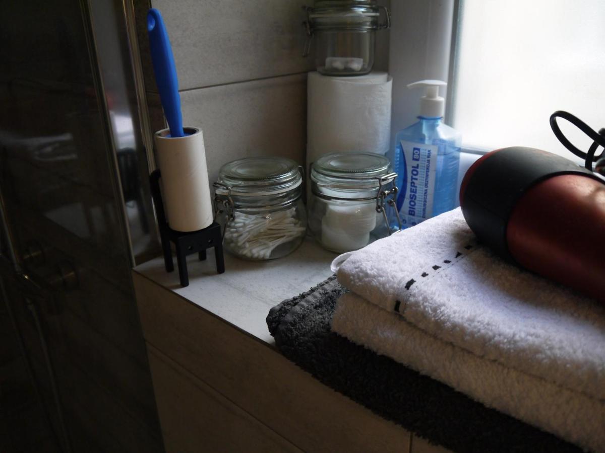 Appartement Kamienica Bydgoska 2 à Bydgoszcz Extérieur photo